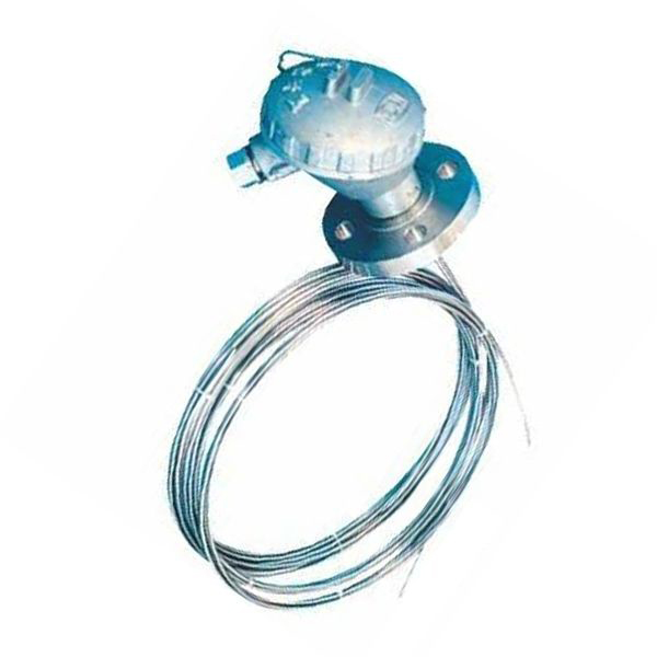 多點防爆熱電阻